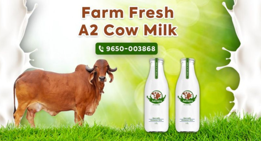 Desi A2 Cow Milk South Delhi